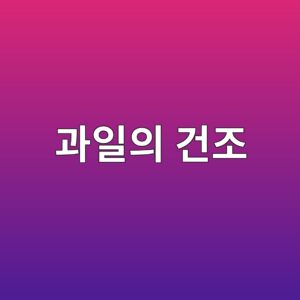 과일의 건조 5 eab3bcec9dbcec9d98 eab1b4eca1b0 1788683472