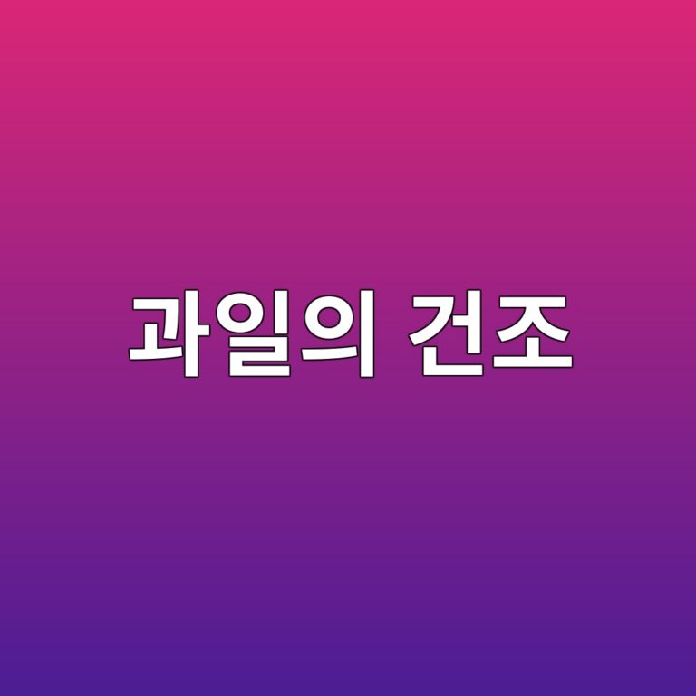 과일의 건조 5 eab3bcec9dbcec9d98 eab1b4eca1b0 1788683472