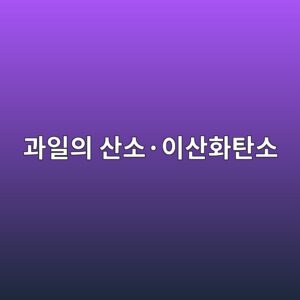 과일의 산소·이산화탄소 농도와 저장기간 5 eab3bcec9dbcec9d98 ec82b0ec868cc2b7ec9db4ec82b0ed9994ed8384ec868c 1788682457