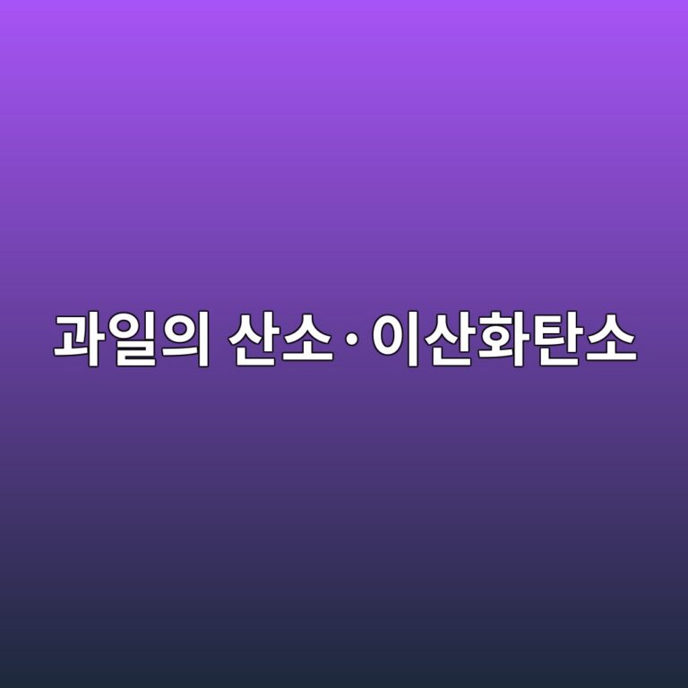 과일의 산소·이산화탄소 농도와 저장기간 5 eab3bcec9dbcec9d98 ec82b0ec868cc2b7ec9db4ec82b0ed9994ed8384ec868c 1788682457